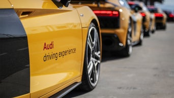 Yellow Audi sports car with “Audi driving experience” lettering, close-up; other yellow vehicles lined up in the background.