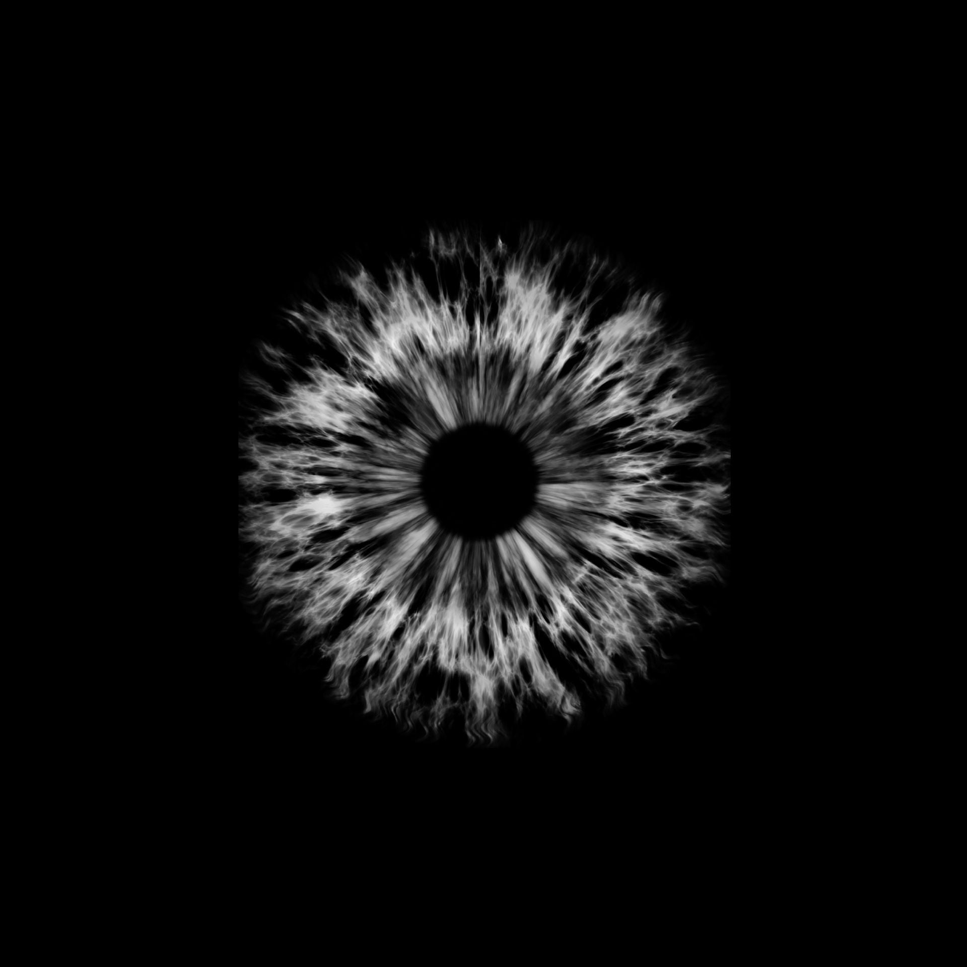 Abstract animation of one of the four Audi rings.