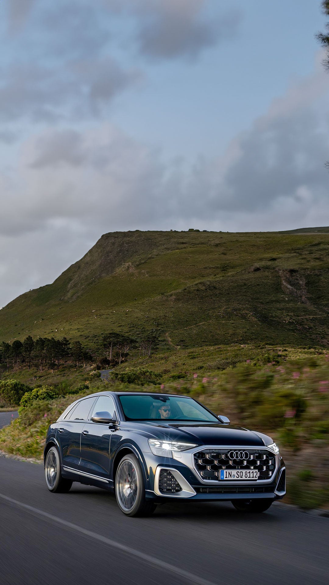 Foto de los neumáticos para todo el año de Audi. 